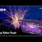 Funke Rising Python Purple